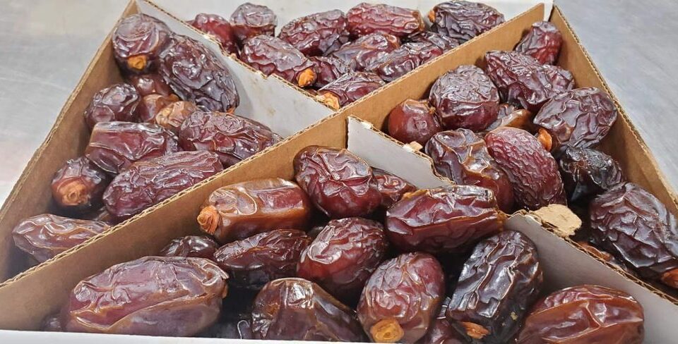 Guide to buying wholesale dates for resale